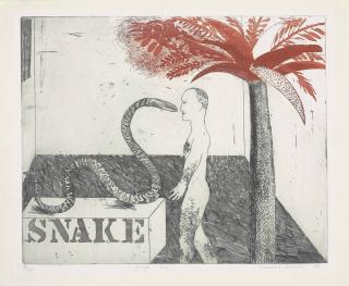 David Hockney - Jungle Boy (S.A.C. 33; T. 33)