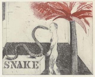 David Hockney - Jungle Boy (S.A.C. 33)