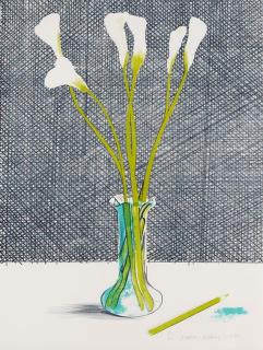 David Hockney - Lillies (Still Life)