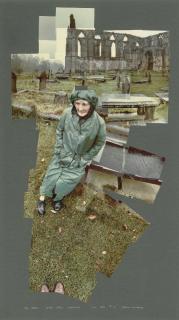David Hockney - My Mother at Bolton Abbey, Yorkshire, Nov., 1982