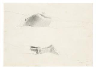 David Hockney - Peter, Berkeley (Study for The Room, Tarzana)