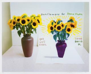 David Hockney - Photography is dead, Long live painting