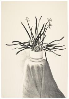 David Hockney - Potted Daffodils