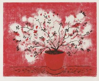 David Hockney - Red Wire Plant (P. 9)