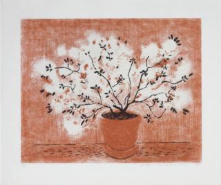 David Hockney - Red Wire Plant