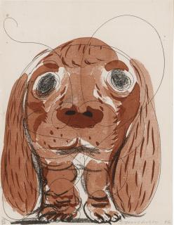 David Hockney - Stanley at 8 Weeks, October 1986 (Museum of Contemporary Art, Tokyo 319)