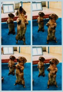 David Hockney - \'Stanley + Heinz, L.A.\', 1988