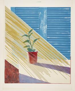 David Hockney - Sun (S. A. C. 136; Mca Tokyo 127)