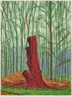 David Hockney - The Arrival of Spring in Woldgate, East Yorkshire in 2011 (twenty eleven) - 25 February