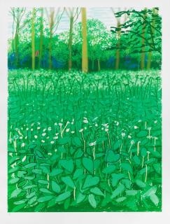 David Hockney - The Arrival of Spring in Woldgate, East Yorkshire in 2011 (twenty eleven) - 6 May