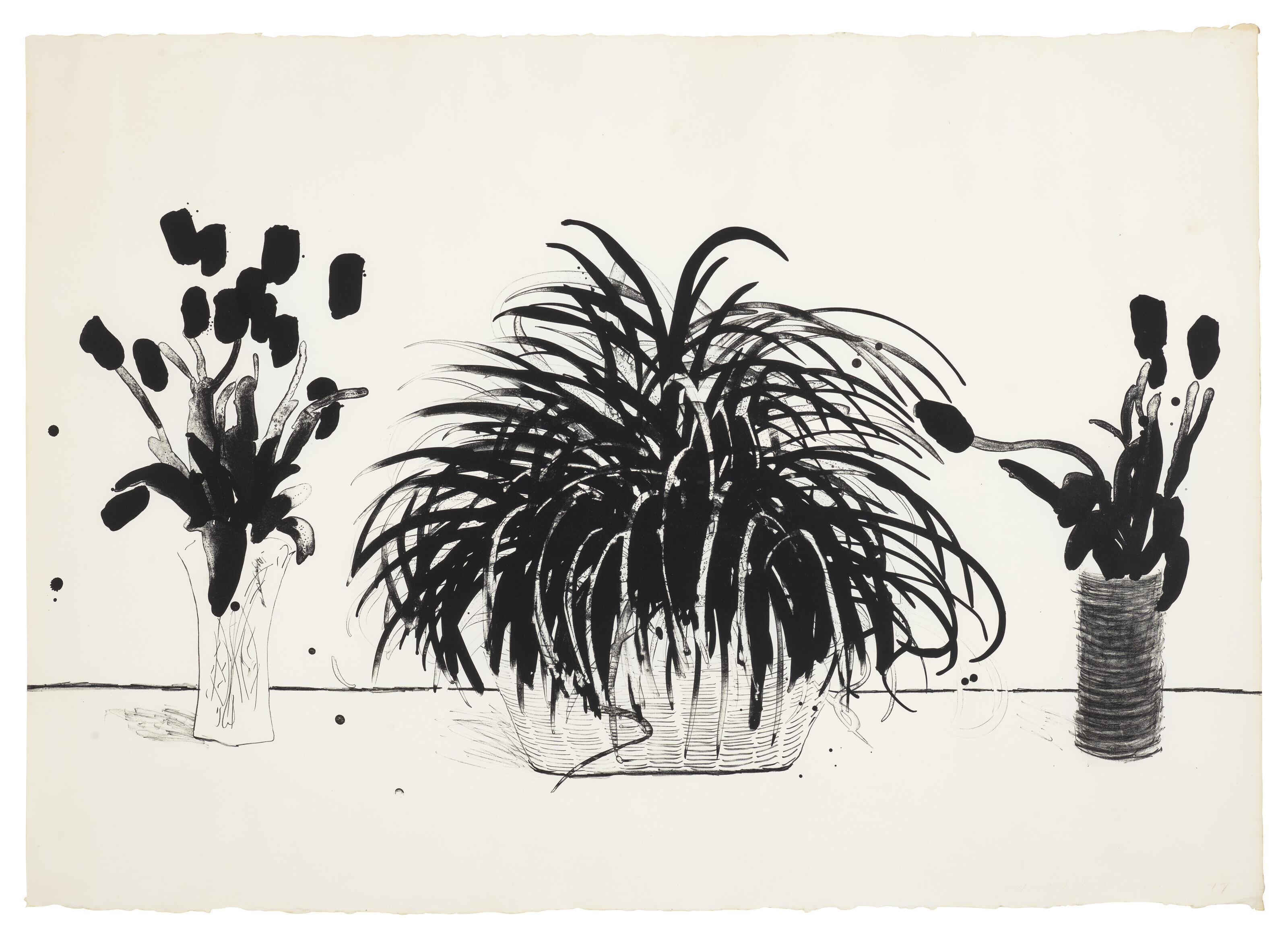 David Hockney - Two Vases of Cut Flowers and a Liriope Plant
