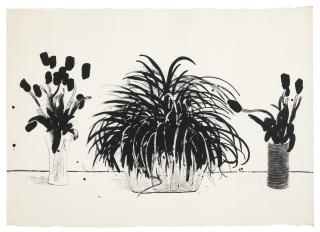 David Hockney - Two Vases of Cut Flowers and a Liriope Plant