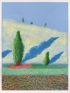 David Hockney - Untitled n°10 ( Planche issue de la Série Yosemite)