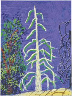 David Hockney - Untitled No. 14 from The Yosemite Suite