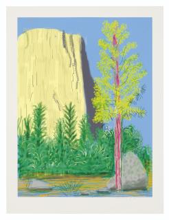 David Hockney - Untitled No. 22, from: The Yosemite Suite