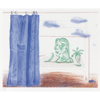 David Hockney - What Is This Picasso? (Sac 218)