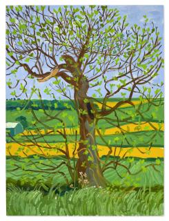 David Hockney - Woldgate Tree, May
