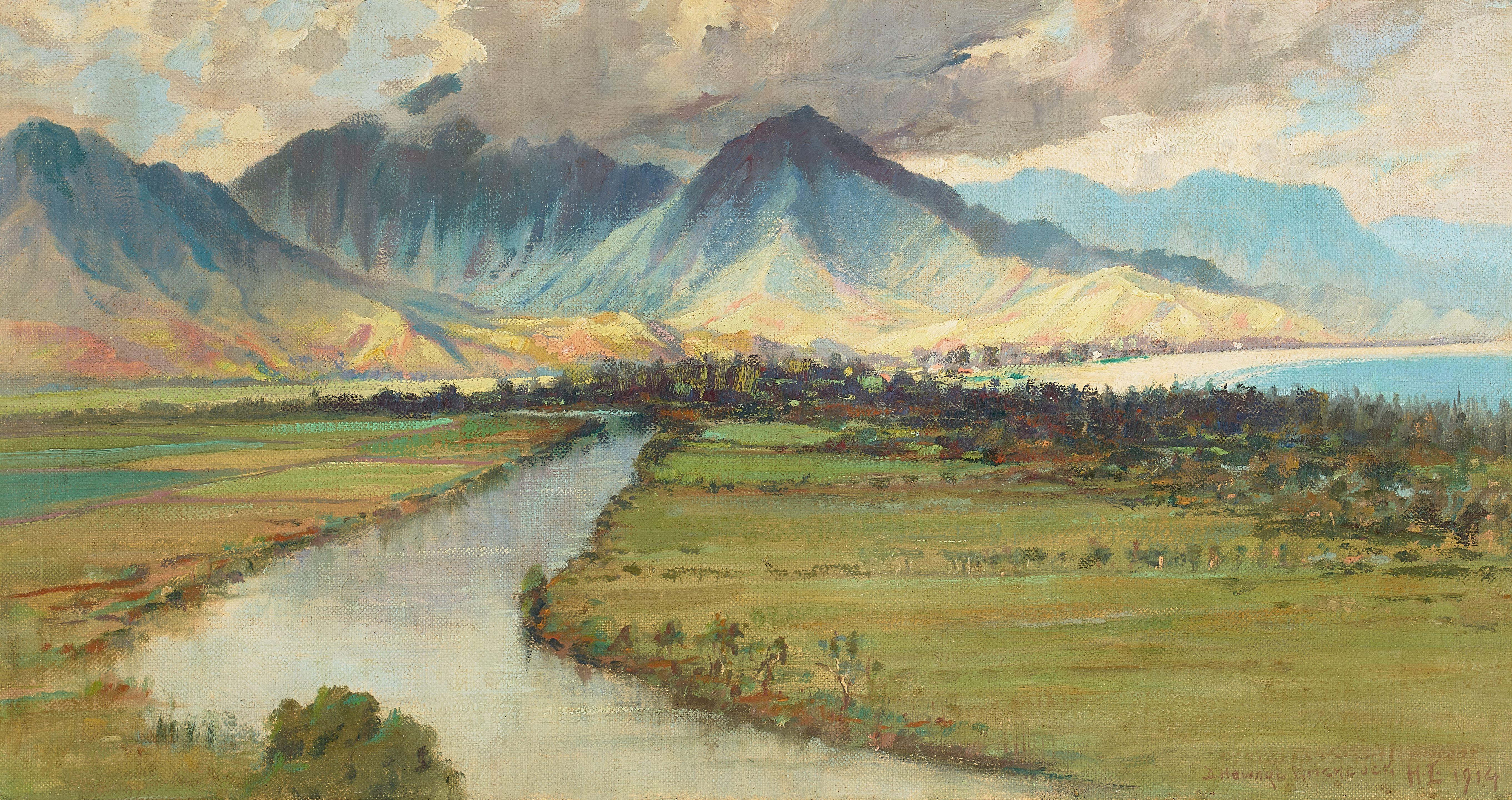 David Howard Hitchcock - Hanalei Valley, Kauaʻi