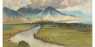 David Howard Hitchcock - Hanalei Valley, Kauaʻi