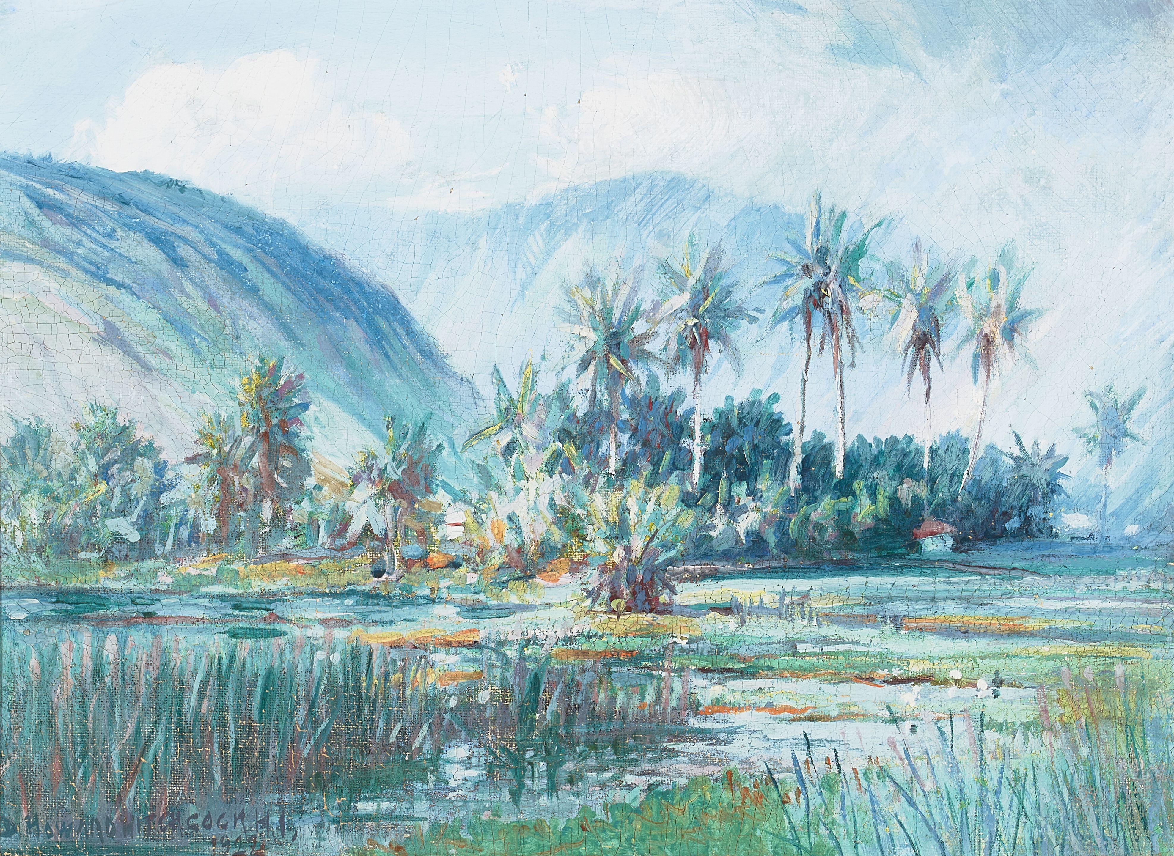 David Howard Hitchcock - Manoa Valley from Waikīkī