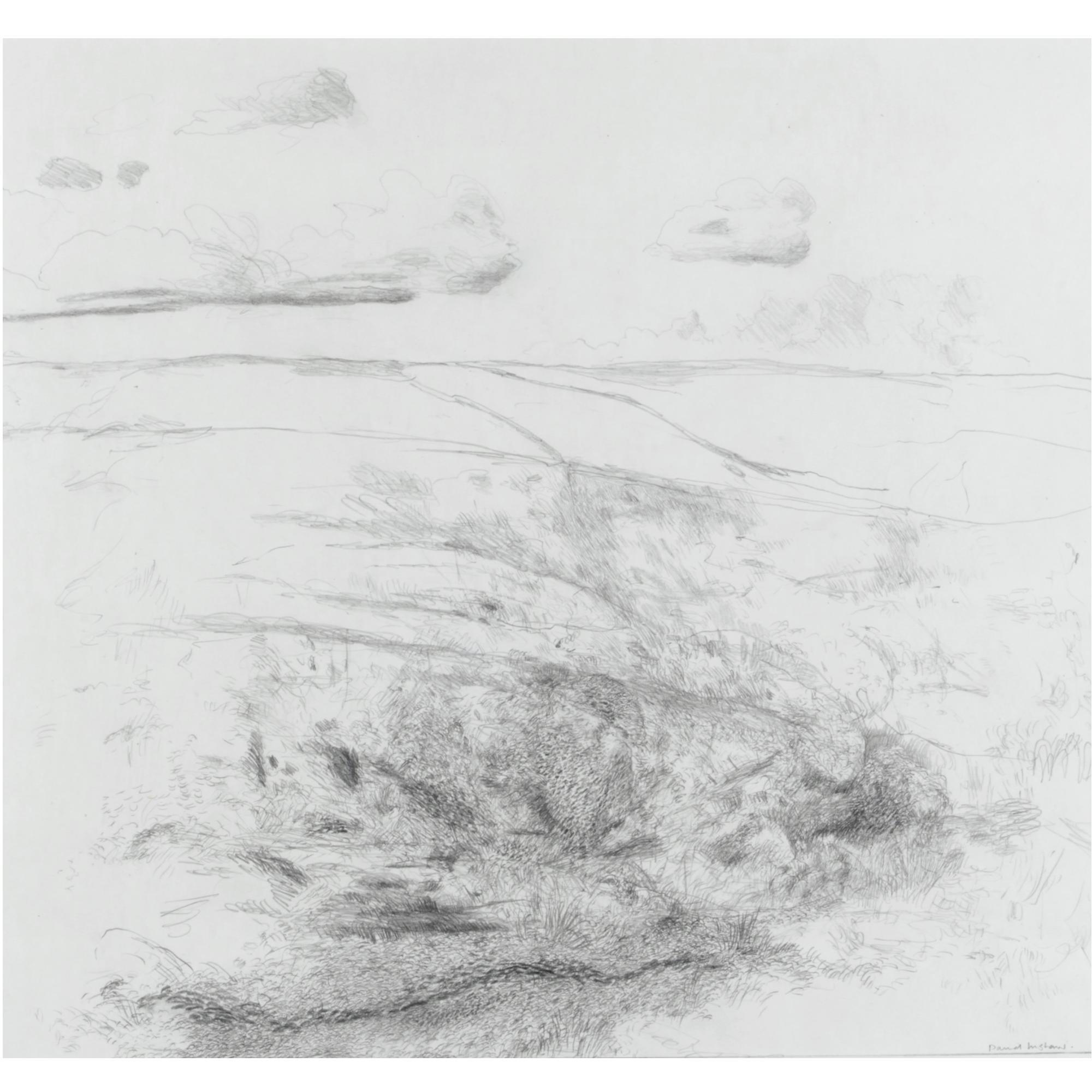 David Inshaw - Cornish Landscape