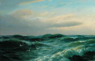 David James - Seagulls Near The Shore