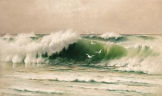 David James - Seascape with seagulls