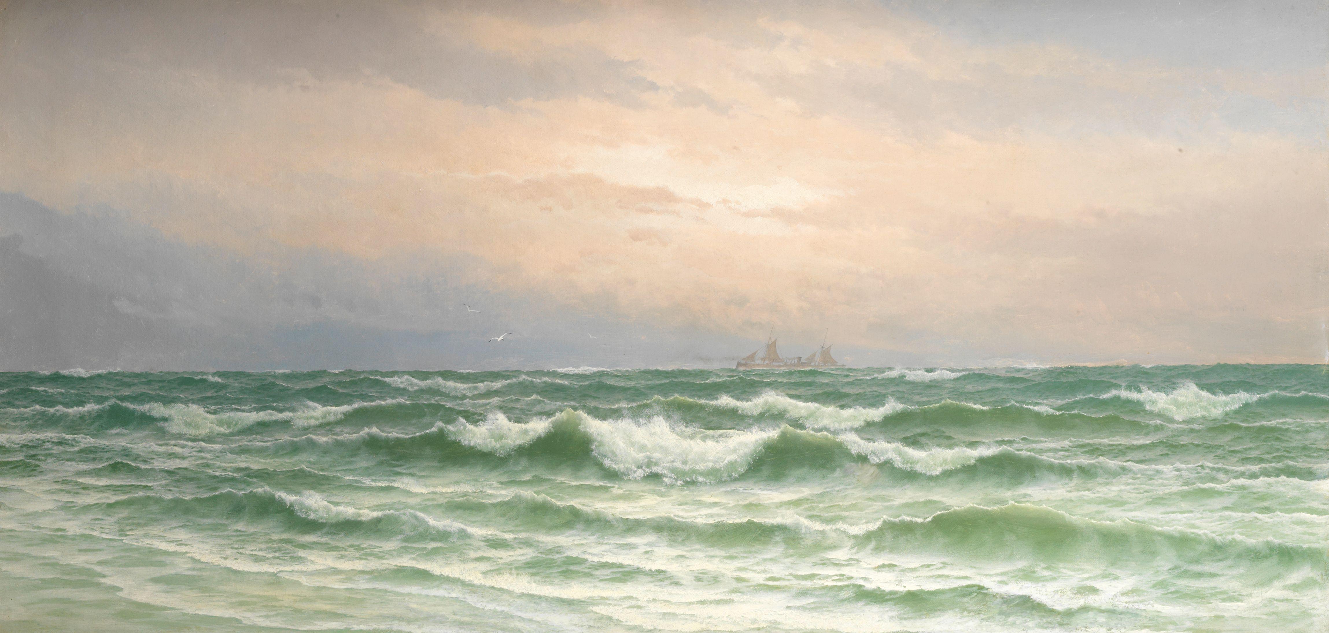 David James - White horses