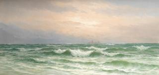 David James - White horses