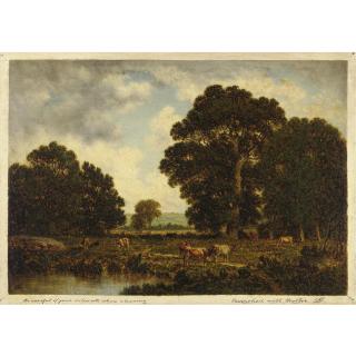 David Johnson - Afternoon