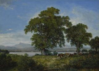 David Johnson - Mount Mansfield, Vermont