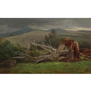 David Johnson - Study Of A Birch