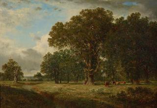 David Johnson - The Giant of the Meadow