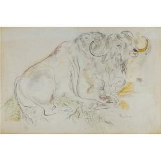 David Jones - Buffalo Study