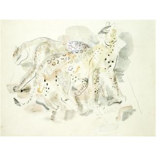 David Jones - Two Pumas