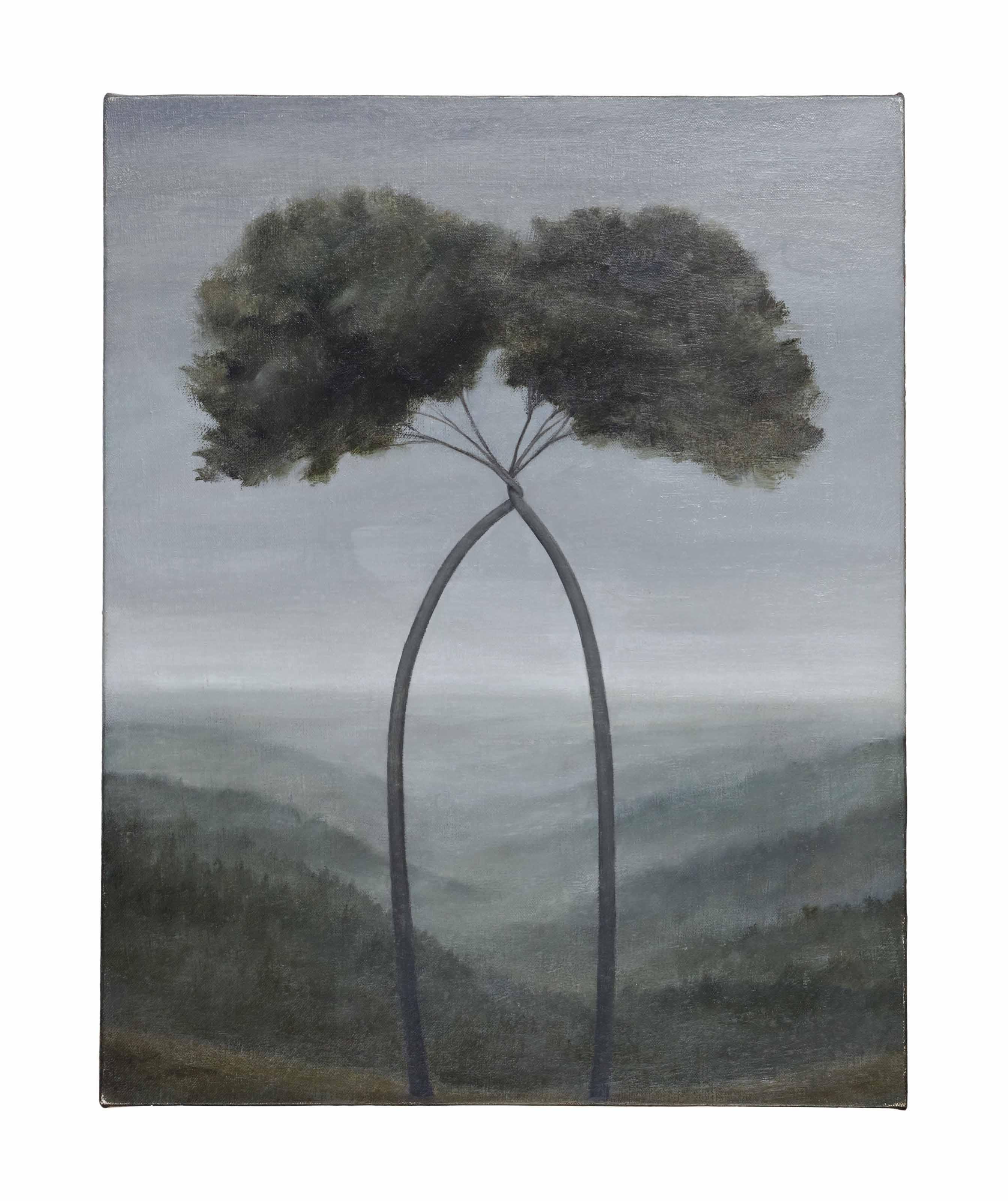 David Kroll - Untitled