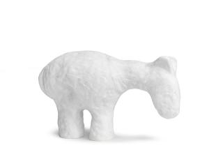 David Larwill - Contemplating Ones Place in Humanity