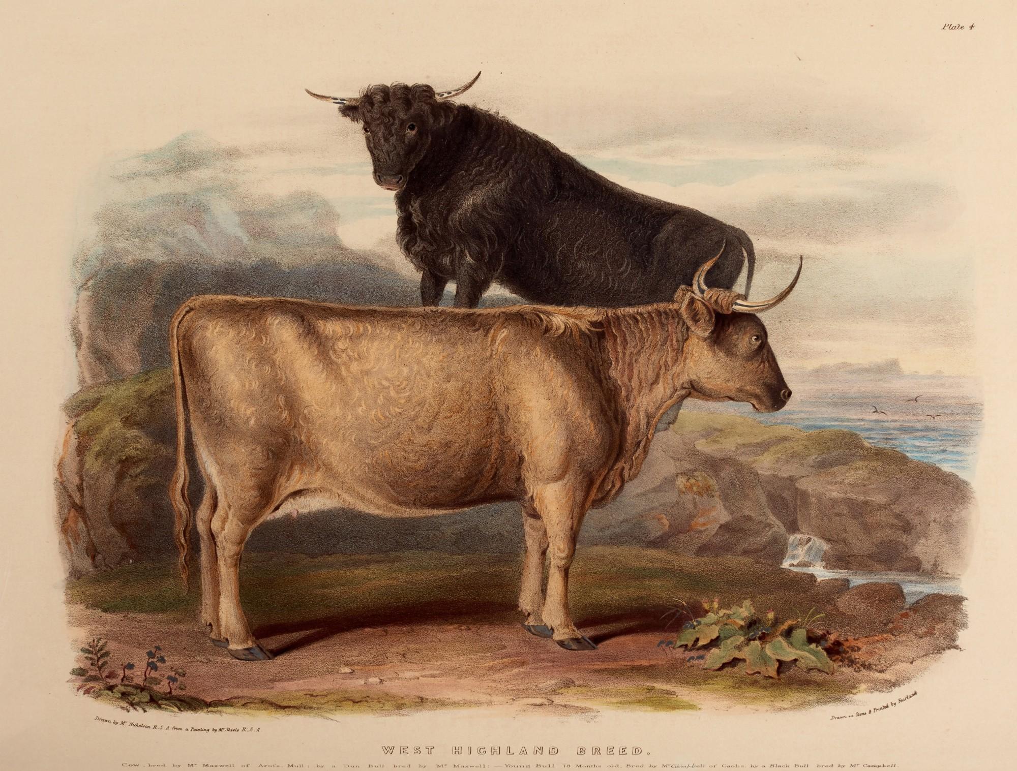 David Low - The breeds of domestic animals of the British Isles, 1842, 2 volumes in 1