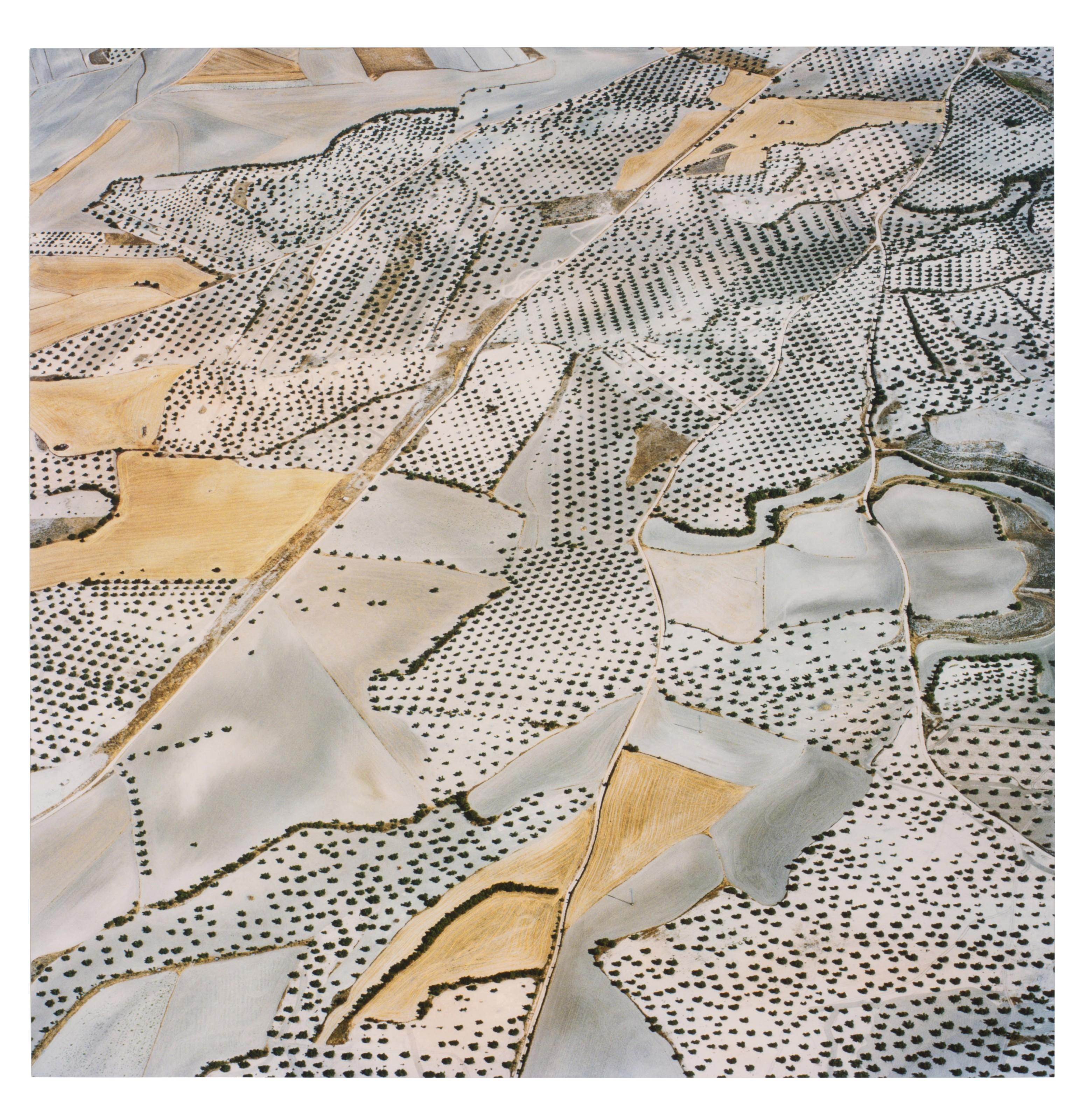 David Maisel - The Fall (Borox 9), 2013