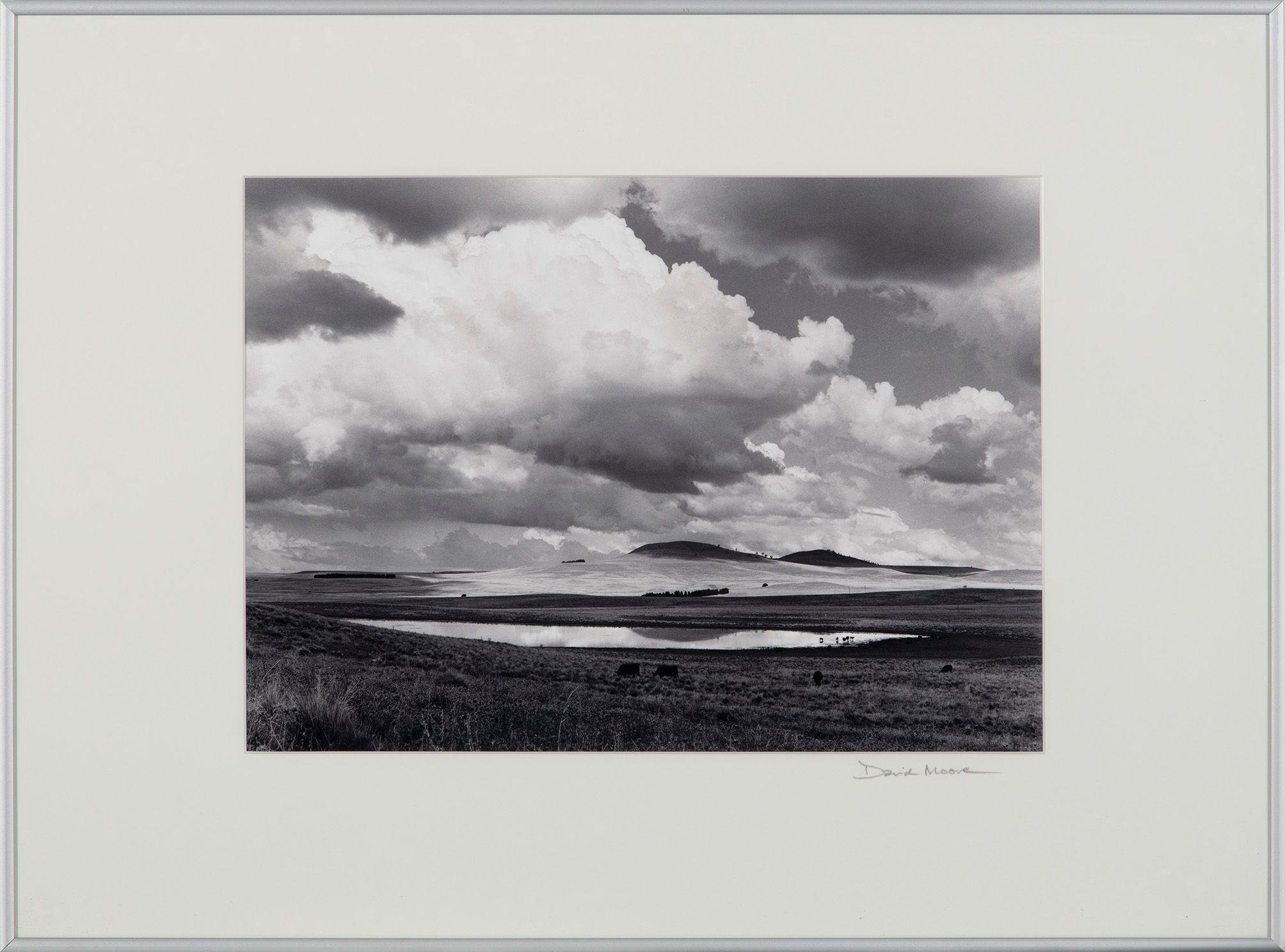 David Moore - Summer Landscape, Monaro country, NSW, 1992