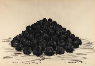 David Nash R.A. - Burnt Dome