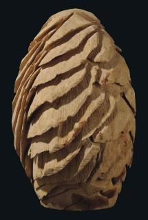 David Nash, R.A. - Feather Egg