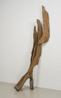 David Nash - Descending Vessels