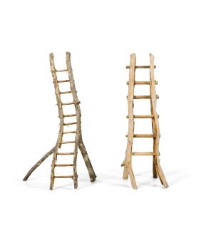 David Nash - Ladders