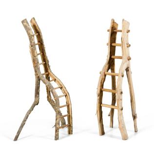 David Nash - Ladders