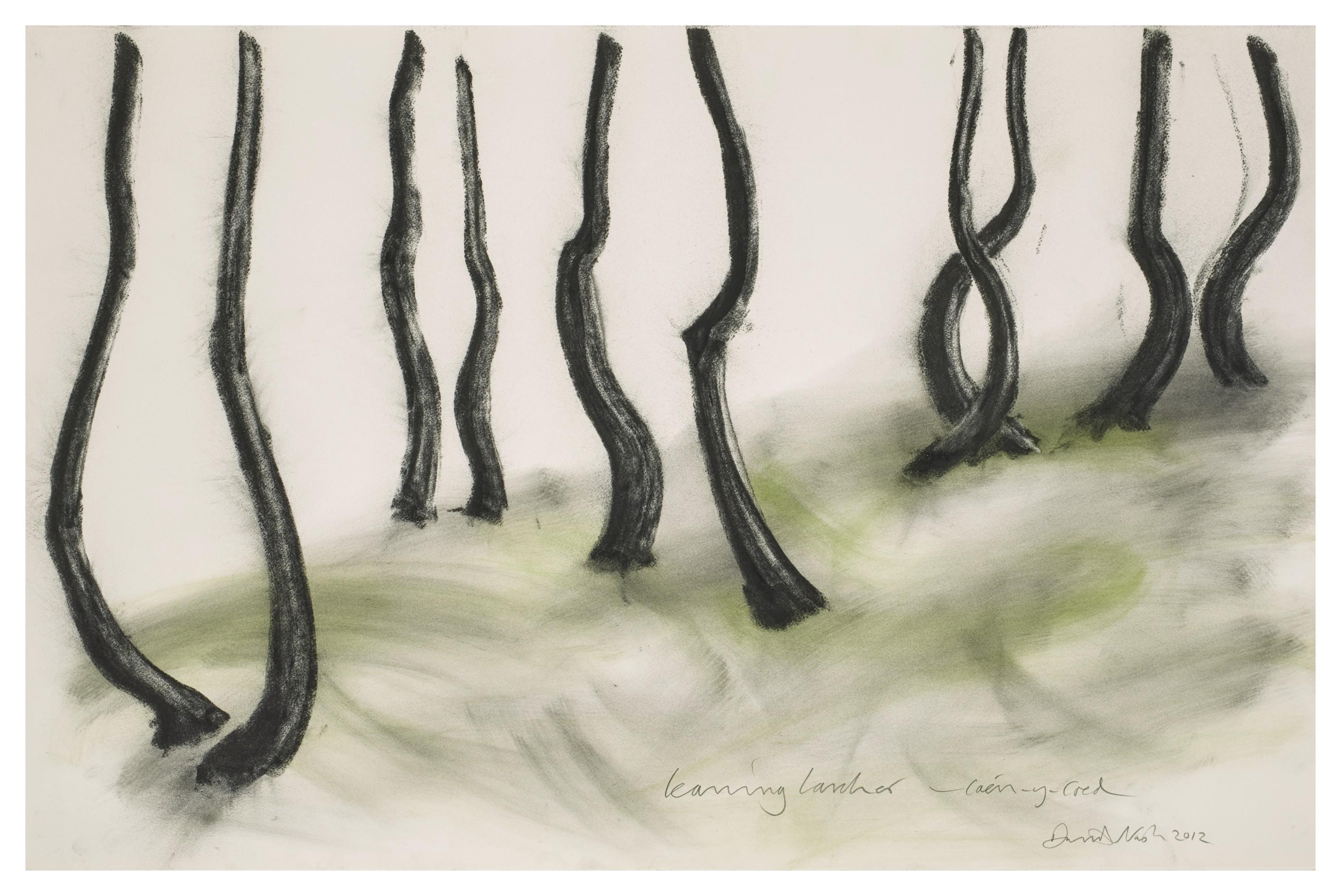 David Nash - Leaning larches – Caén-y-coed