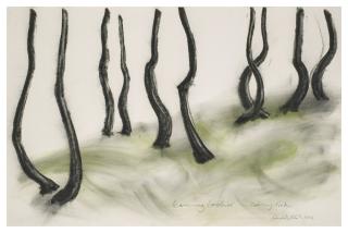 David Nash - Leaning larches – Caén-y-coed