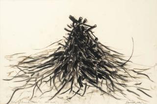 David Nash - Pile of Burnt Sticks