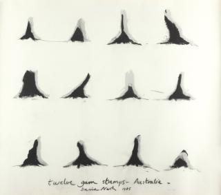 David Nash - „Twelve gum stumps – Australia“