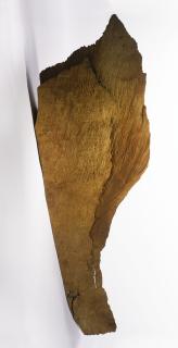 David Nash - Wing